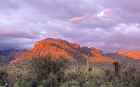 Sabino Canyon